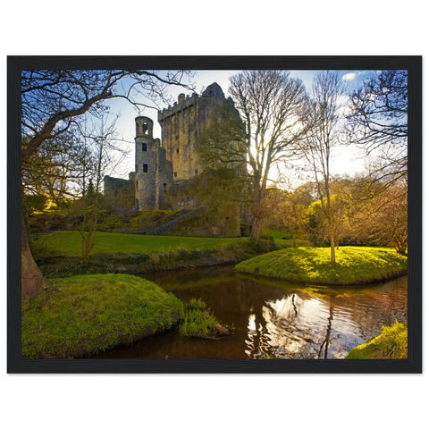 Blarney Castle framed print capturing Ireland's enchantment. Iconic fortress with the legendary Blarney Stone, symbolizing Irish charm and folklore. Elegantly framed, this print brings the historic and magical essence of Blarney Castle into your home decor.