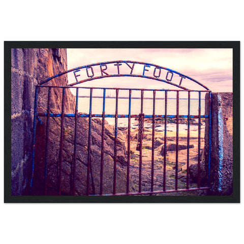 Forty Foot Gate Swimming Sandycove Framed Wall Art Print