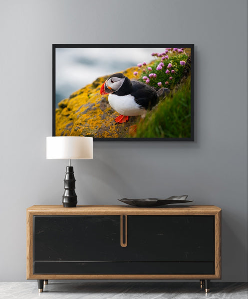 Colorful puffin perched on coastal cliffs, its vibrant beak contrasting against the landscape. Framed wall art print captures the beauty of nature and supports conservation efforts.