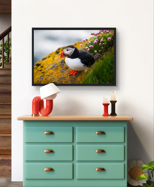 Vibrant puffin framed wall art print featuring the colorful bird against the coastal backdrop of Ireland, capturing nature's beauty and conservation message.