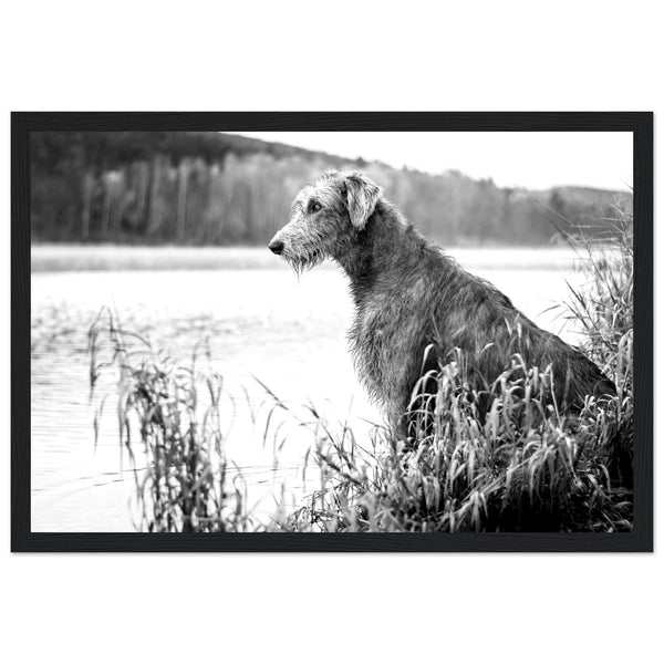 Framed wall art print featuring a majestic Irish Wolfhound, symbolizing Ireland's rich history. Detailed portrayal capturing the breed's noble stature and strength. Ideal for dog lovers and admirers of Irish heritage.
